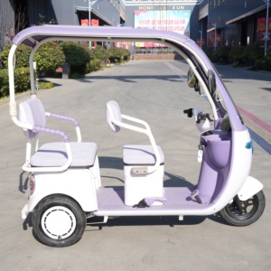 Tricycle familial, petit tricycle réglable à trois places pour 3 personnes - Product Image 6