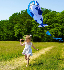 <span class=keywords><strong>Cerf</strong></span>-<span class=keywords><strong>volant</strong></span> géant en forme de baleine, le plus vendu, pour enfants, idéal pour l'extérieur - Product Image 3