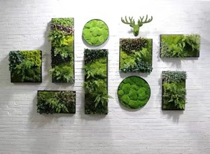 Indoor/Outdoor Home Green <strong>Wall</strong> <strong>Decor</strong> Artificial Plant Moss Plastic Grass Flower <strong>Leaf</strong> <strong>Wall</strong> Decors - Product Image 5