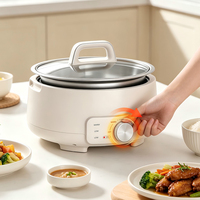 Casserole électrique en acier inoxydable 1300W avec réglage par bouton, 3L