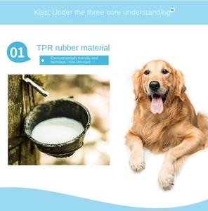 Juguete Masticable Ecológico de Goma con Sonido de Cactus para Perros, Resistente a Mordidas Medianas, para Limpieza Dental, Venta al por Mayor - Product Image 6