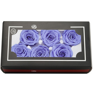 Venta al por Mayor de Cabezas de Rosas Preservadas Reales, Color Mocha Mousse Blanco, Rosa Eterna para Decoración de Bodas, Manualidades, Rosa Eterna en Flor - Product Image 2