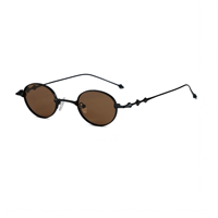 Lunettes de soleil tendance et élégantes, monture métallique, branches en titane, derniers modèles 2026, forme ovale SP3004