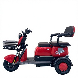 Bicicleta Eléctrica de <span class=keywords><strong>Tres</strong></span> <span class=keywords><strong>Ruedas</strong></span> de 800W/1000W <span class=keywords><strong>para</strong></span> Adultos y Personas Mayores, Triciclo Solar con Velocidad de 25 km/h y Batería de 48V - Product Image 1