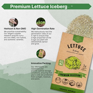 Bộ gói rau củ cải không phải là GMO là một túi 3.75g và dễ trồng trong vườn rau của bạn - Product Image 6