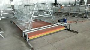 Cages à poules pondeuses en acier galvanisé, prix d'usine bon marché - Product Image 4