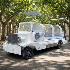Cercueil funéraire 2026 moderne électrique de haute qualité, charrette funéraire de luxe blanche tirée par des chevaux à vendre - Product Image 1