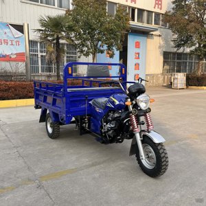 Tricycle à moteur à essence de haute qualité pour l'Afrique, tricycle motorisé à trois roues, tricycle à moteur lourd - Product Image 6