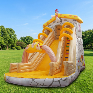 WINSUN Custom <b>Large</b> Outdoor 0.55mm PVC Commercial Inflatable Chicken Coop Water <b>Slide</b> for Party Events - Product Image 1