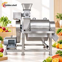 Groentepersmachine Food Grade Goldenshell Goede after-sales service Apparatuur voor het maken van fruitwijn