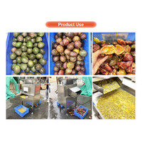 Zaad En Pulp Scheiding Crush Passievrucht Extract Kokosmelk Dubbele Roller Juicer Knoflooksap Knijpmachine