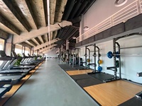 Combo comercial Peso Deportes Smith Gym Powerlifting Banco Prensa Fitness Half Squat Rack Power Equipment Deadlift Platform