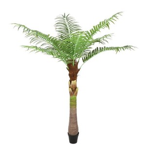 Arbre de coco artificiel Dream Castle 200 cm+ en plastique PU, décoration intérieure et extérieure, plante tropicale, style champêtre - Product Image 5