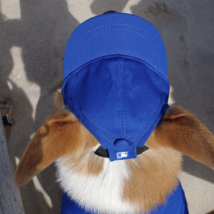 Verstellbare Visier kappe aus Polyester-Leinwand für Hunde Outdoor-Sport-Haustier hüte mit Ohr löchern Markenlogo Modisches Baseballkappen-Design - Product Image 5