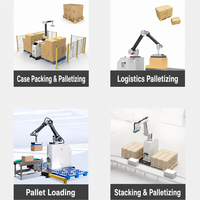 Robot collaboratif pour la manutention de boîtes en carton, bras robotique, machine de stockage entièrement automatique, robot industriel pour la manutention