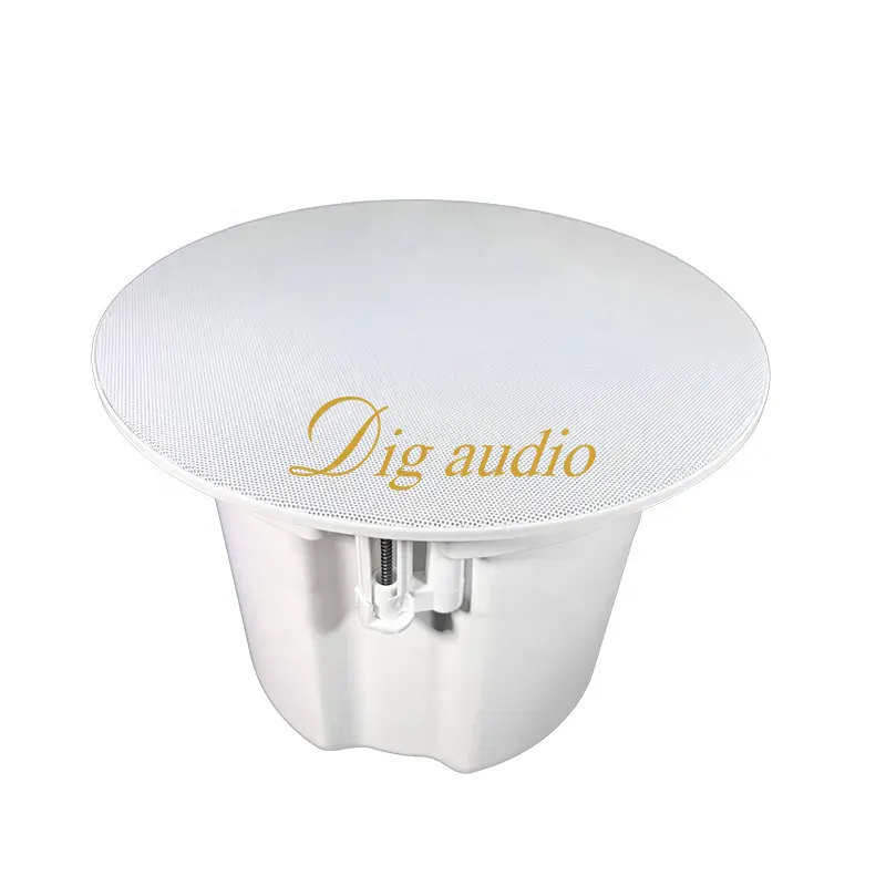Altavoz oculto en el techo DIG Audio 2,1 5,1 7,1 Sistema de sonido envolvente para cine en casa Estudio Iglesia Hotel Restaurante