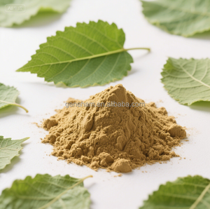Лидер продаж, 0.6% экстракт листьев тутового дерева, пищевой травяной порошок, оптовая продажа, конкурентоспособная цена, упакованная в барабан - Product Image 5