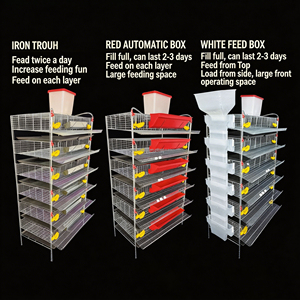 Jaula para Codornices de Alta Calidad Tipo H con Alimentación Automática, <span class=keywords><strong>Jaulas</strong></span> para Codornices para Producción de Huevos, Jaula para Aves de Reproducción - Product Image 3