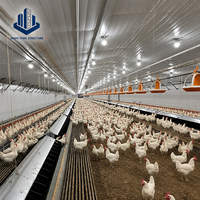 Gallinero Moderno Prefabricado con Estructura de Acero Ligero y Panel Sándwich de Acero, Edificio Agrícola con 5 Años de Garantía