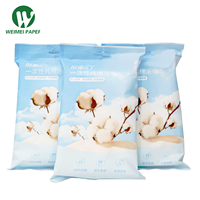 Serviette de Bain Jetable 100% Coton Pur, 70x140cm, 80GSM, Épaisse, Grande, Blanche, pour Hôtels, Spas, Voyages, OEM - Vente en Gros