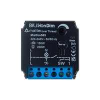 Télécommande d'éclairage dimmable Bihilon via Thread 2.4GHz 200W