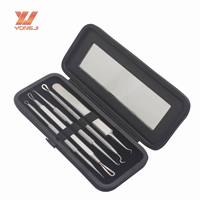 Kit d'outils professionnels en acier inoxydable pour éliminer les points noirs