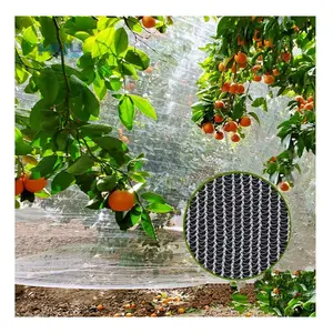 Factory Price Monofilament Bee Netting Agriculture Anti-hail Net