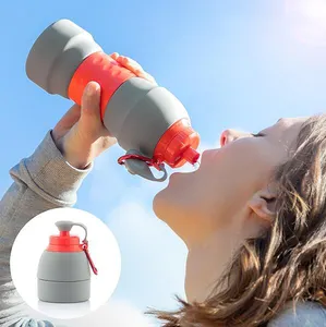 580ML BPA ücretsiz promosyon katlanabilir silikon katlanabilir spor sıkıştırılabilir su şişesi ile özel Logo