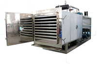 Lyophilisateur domestique de 5 mètres carrés |   Grande machine de conservation et de séchage des aliments sous vide