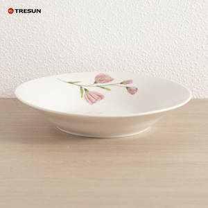 24 Piece Ceramic <b>Dinnerware</b> <b>Set</b> Plate Ceramic Porcelain <b>Dinnerware</b> <b>Set</b> Bowl Ceramic - Product Image 4