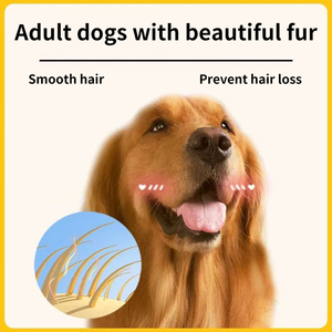 थोक 2.5 किलोग्राम 5 किलोग्राम 10 किलोग्राम 15 किलोग्राम 20 किलोग्राम कस्टम स्वस्थ उच्च प्रोटीन कुत्ता पूरा पोषण वास्तविक चिकन संवेदनशील पाचन शुष्क भोजन - Product Image 4