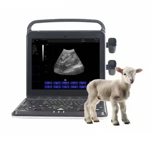 Veterinary equipment portable ultrasound scanner veterinary ultrasound machine