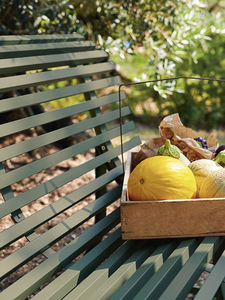 Chaise longue d'extérieur <span class=keywords><strong>de</strong></span> couleur vibrante avec coussin, chaise longue en fer moderne pour jardin, patio, salon avec terrasse - Product Image 3