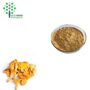 Extracto de Hongo <span class=keywords><strong>Cantharellus</strong></span> <span class=keywords><strong>Cibarius</strong></span> en Polvo XANT, Polisacárido, Triterpeno, Orgánico, en Envase Tipo Tambor, Producto para la Salud, 80 Mesh - Product Image 5