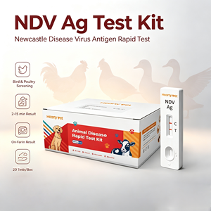 Kit de test rapide de l'antigène du virus de la <span class=keywords><strong>maladie</strong></span> de Newcastle pour volailles (poulets, canards, oies) - Diagnostic vétérinaire en 2 minutes - Test Ag NDV - Product Image 2