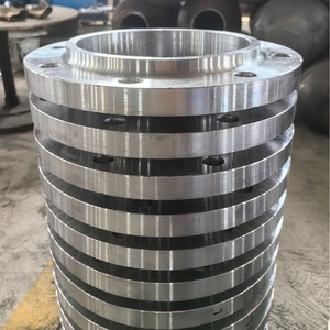 Brida de Acero al Carbono ANSI B16.5, 16 Orificios para Pernos, 70 mm de Diámetro, para Uso en la Industria Química - Product Image 3