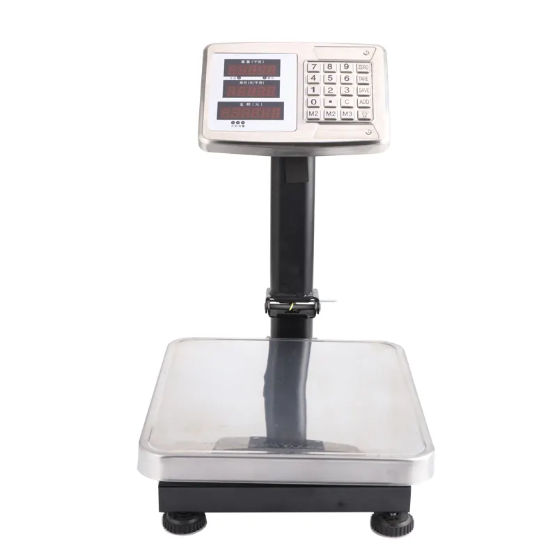 Huaxi OEM TCS Electronic Computing Platform Scale 300KG Stainless Steel Digital Weighing Small Scale Industrial Machine Weight