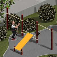 Barres à singes en acier durables et planche à sit-up Fitness Gym Pull-up Bar Calisthenics Equipment avec certificat TUV