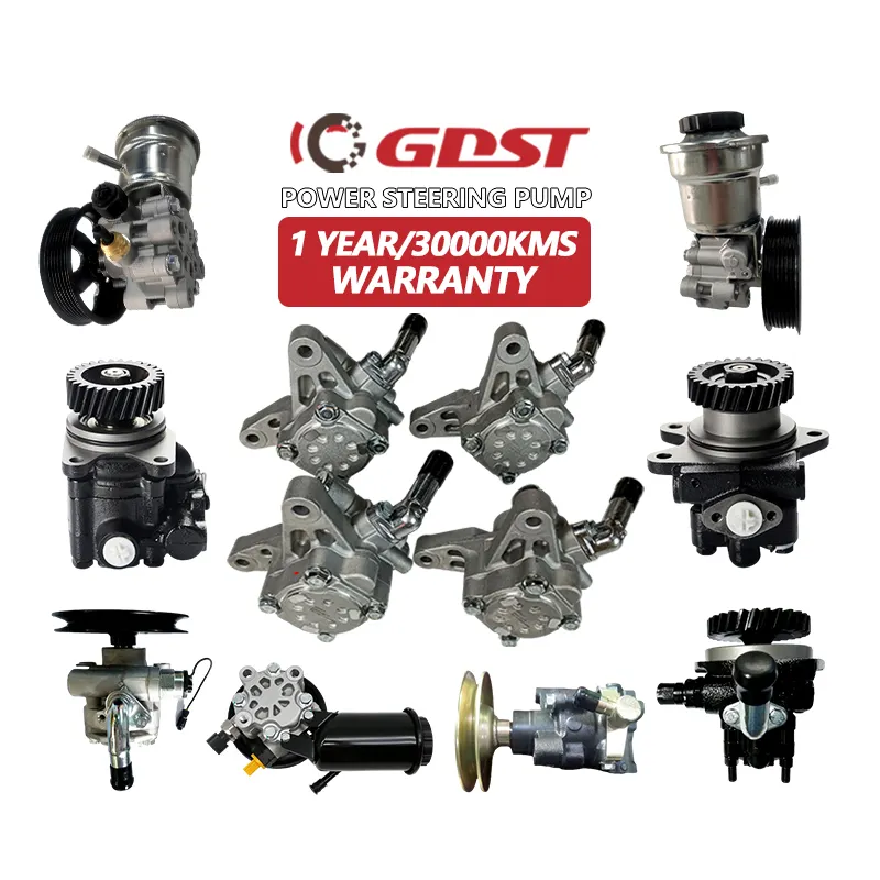 GDST Power Steering Pump For Chevrolet Optra Spark Sail Cruze Captiva Renault Truck Land Rover Mercedes Bmw Power Steering Pump