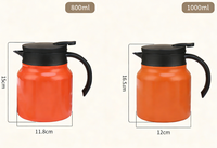 Théière en acier inoxydable 316 de 800 ml et 1000 ml, isolée sous vide, grande capacité
