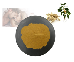 Extrait <span class=keywords><strong>de</strong></span> plante <span class=keywords><strong>Ashwagandha</strong></span> 2.5% 5% Withanolides Withania Somnifera <span class=keywords><strong>Poudre</strong></span> <span class=keywords><strong>d</strong></span>'extrait <span class=keywords><strong>de</strong></span> <span class=keywords><strong>racine</strong></span> <span class=keywords><strong>d</strong></span>'<span class=keywords><strong>Ashwagandha</strong></span> - Product Image 1