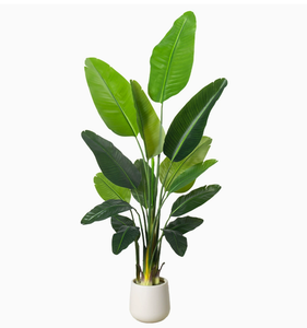 <span class=keywords><strong>Olivier</strong></span> artificiel <span class=keywords><strong>en</strong></span> <span class=keywords><strong>pot</strong></span> ignifuge résistant aux UV <span class=keywords><strong>en</strong></span> plastique durable au toucher naturel pour usage extérieur et intérieur hauteur 80-320 cm - Product Image 4