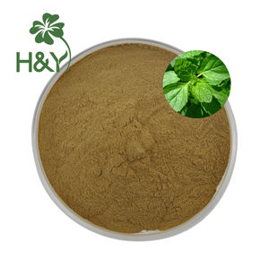 ヘルスウェイ 100% 天然レモンバームエキス葉粉末 レモンバームエキス 3%フラボノイド 5%ロズマリニック酸 - Product Image 1