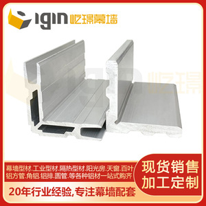 Système de mur-rideau iGin, traitement de l'aluminium, design moderne pour façade de bâtiment - Product Image 5