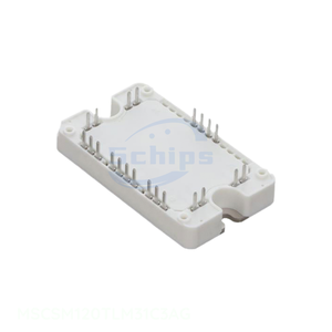 Buy Online Electronic Components Transistors Module MSCSM120TLM31C3AG Original One Stop Service - Product Image 1