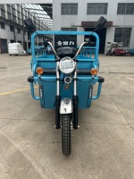 Chang Li Tricycle électrique 1 tonne Camion à benne basculante à 3 roues avec transport de marchandises sécurisé Moto sûre et durable