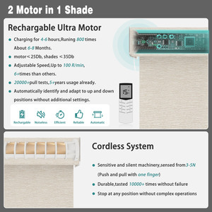 Persianas de ventana enrollables motorizadas <span class=keywords><strong>el</strong></span>éctricas inteligentes de tamaño personalizado con Doble accionamiento - Product Image 5