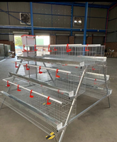 Cage automatique pour poules pondeuses et poulets de type batterie, en treillis métallique, pour 1000 poulets