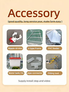 <span class=keywords><strong>Jaula</strong></span> para Gallinas Ponedoras para 3000 Aves - Product Image 4