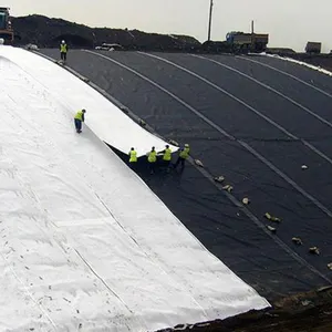 High Quality Supply Geotextile Engineering Geotextile Fabric Non-woven Geo Textile